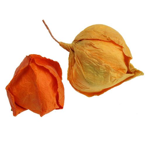 Artículo Tipo Physalis Artificial. 32st