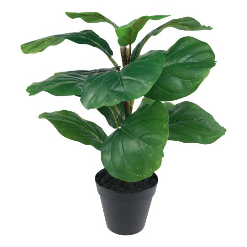 Floristik24 Planta artificial en maceta Ficus planta artificial en maceta 42cm