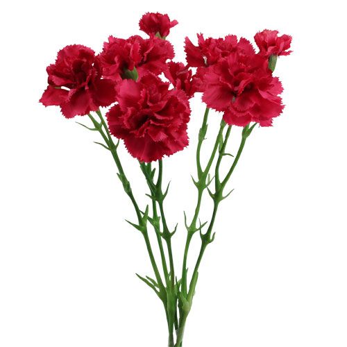 Floristik24 Clavel Artificial Rosa 32cm 5pcs