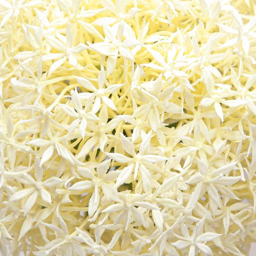 Artículo Cebolla ornamental artificial Allium crema blanca Ø18cm L90cm