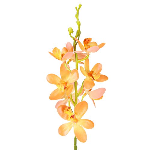 Floristik24 Rama de orquídea artificial 8 flores naranja L38cm 2 piezas