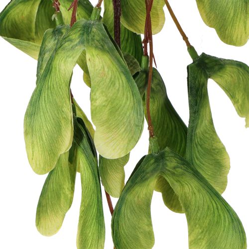 Artículo Rama artificial de sicomoro, frutos de color amarillo verdoso, 100 cm, 3 unidades