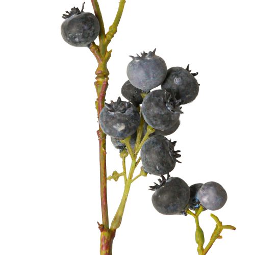 Floristik24 Rama artificial con arándanos azules arándanos 110cm