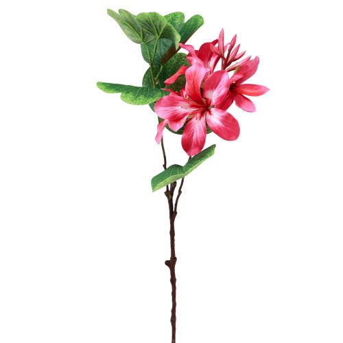 Floristik24 Rama de orquídea artificial Bauhinia planta artificial rosa 62cm