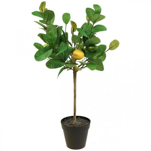 Artículo Limonero artificial en maceta Limonero H57cm