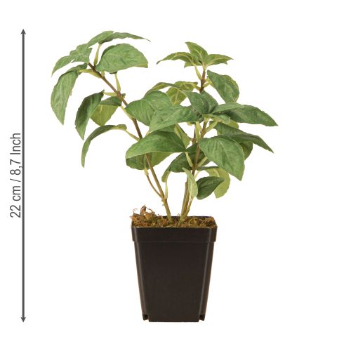 Artículo Albahaca artificial en maceta Hierbas en color verde H22cm