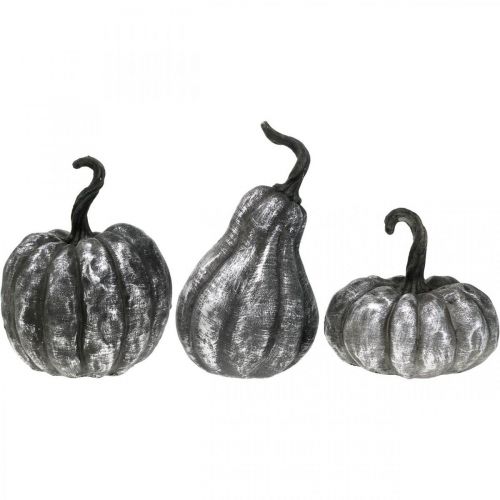 Floristik24 Calabaza Decorativa Plata, Negro Surtido H10.5/14.5/17.5cm 3pcs