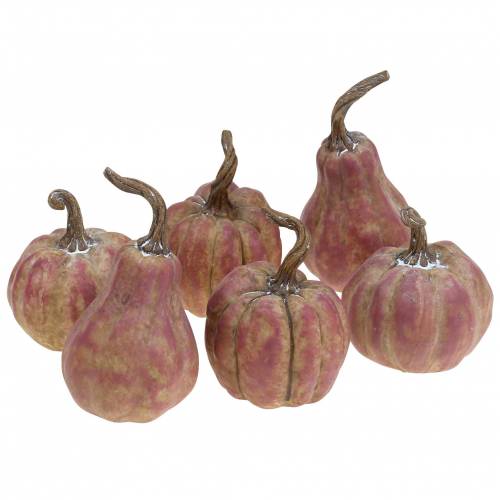 Artículo Juego de mini calabazas naranja, lila Ø6,5–7cm 6 piezas