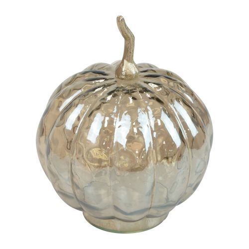 Floristik24 Decoración de calabaza vidrio calabaza decoración de mesa otoño Ø14cm H19cm