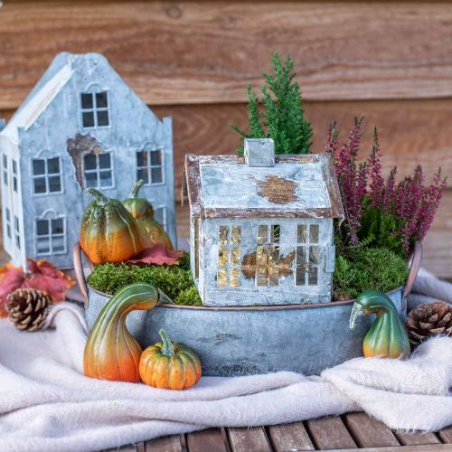 Floristik24 Calabaza deco conos hojas de otoño conjunto de decoración de otoño 5-11cm