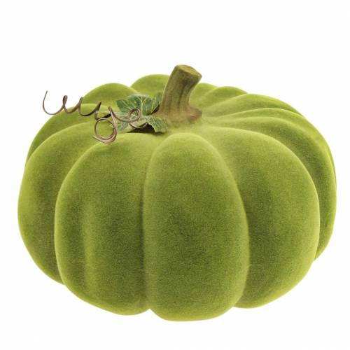 Calabaza decorativa flocada verde musgo 32cm