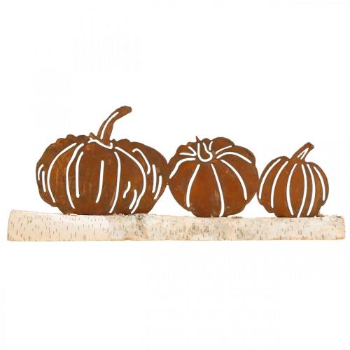 Floristik24 Calabazas decoración metal óxido y corteza sobre madera de abedul 20×5cm Alt.9cm