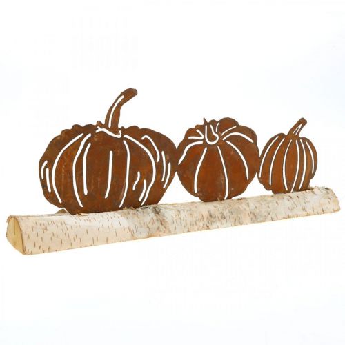 Floristik24 Calabazas decoración metal óxido y corteza sobre madera de abedul 20×5cm Alt.9cm