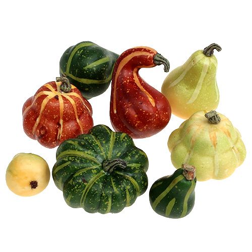 Surtido de calabazas en la red 12pcs