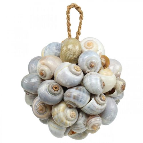 Floristik24 Bola de decoración marinera bola de concha de caracol de mar decoración natural Ø12cm