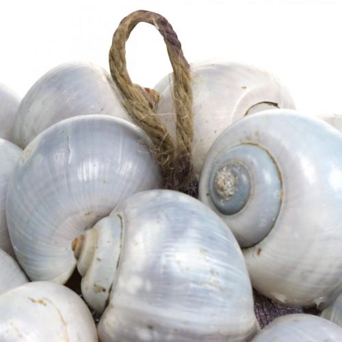 Floristik24 Deco bola caracoles de mar grande Decoración marinera para colgar Ø25cm