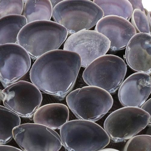 Artículo Bola de conchas Decoración marinera con conchas Bola decorativa violeta Ø12cm