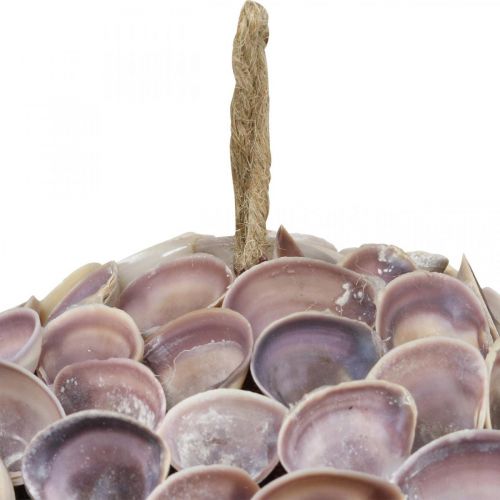 Artículo Decoración decorativa de conchas de bolas para colgar decoración marítima Ø18cm