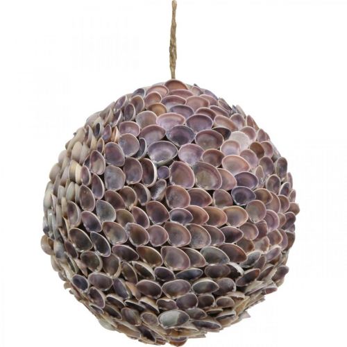 Artículo Conchas de bola deco bola de concha grande decoración marítima Ø25cm