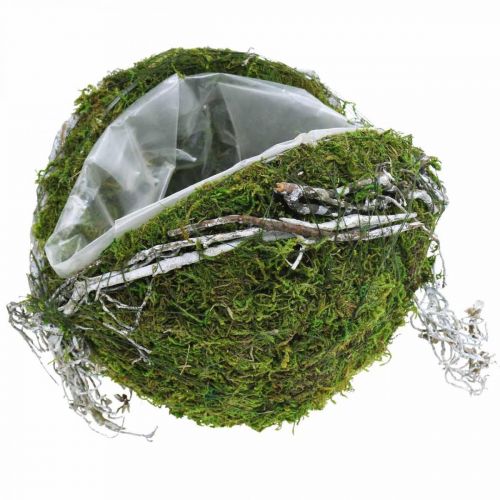 Floristik24 Grave decoración bola enredaderas verde musgo, blanco lavado Ø20cm