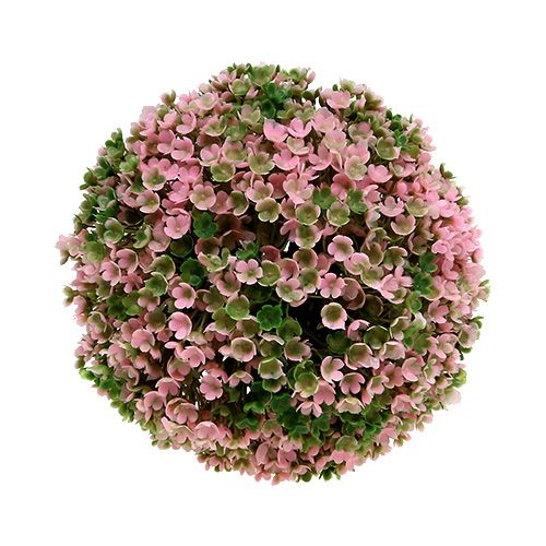 Floristik24 Bola decorativa planta bola verde rosa Ø15cm 1 pieza
