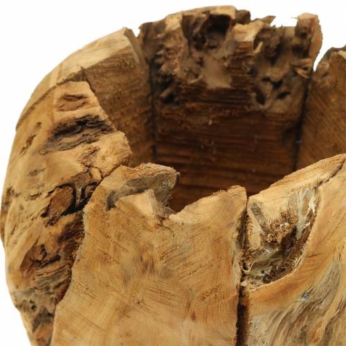 Floristik24 Cuenco olla raíz madera alcanfor Ø20cm H17cm