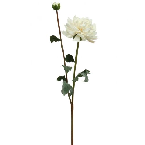 Floristik24 Flor artificial Dalia blanca Flor artificial con capullo H57cm