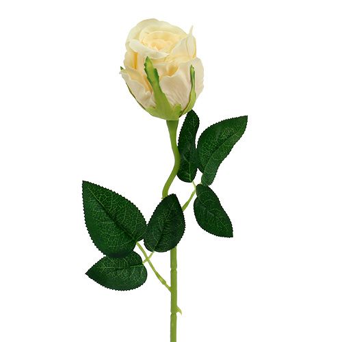 Artículo Flores artificiales Rose Cream Ø6cm L50cm 6pcs