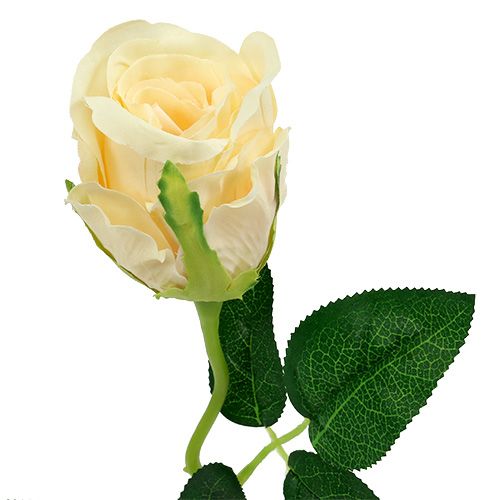 Artículo Flores artificiales Rose Cream Ø6cm L50cm 6pcs