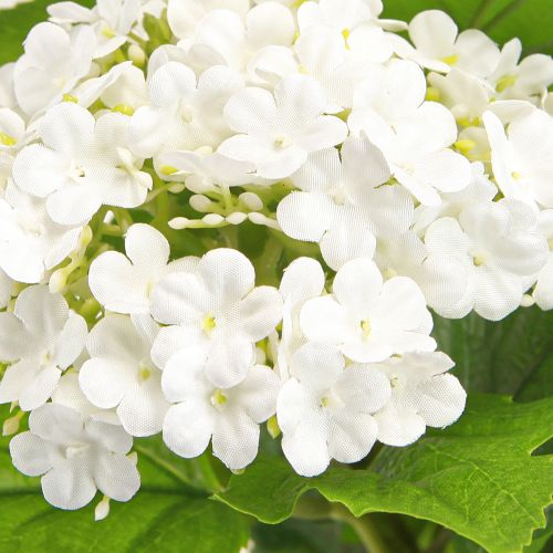 Artículo Flores artificiales Bola de nieve Viburnum Artificial Blanco 60cm 4 uds