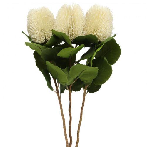 Flores artificiales, Banksia, Proteaceae Blanco crema L58cm H6cm 3pcs