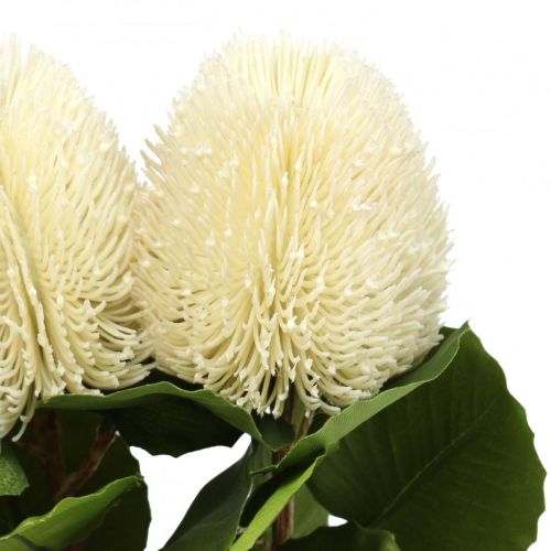 Flores artificiales, Banksia, Proteaceae Blanco crema L58cm H6cm 3pcs