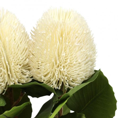 Artículo Flores artificiales, Banksia, Proteaceae Blanco crema L58cm H6cm 3pcs