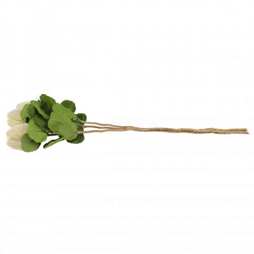 Artículo Flores artificiales, Banksia, Proteaceae Blanco crema L58cm H6cm 3pcs