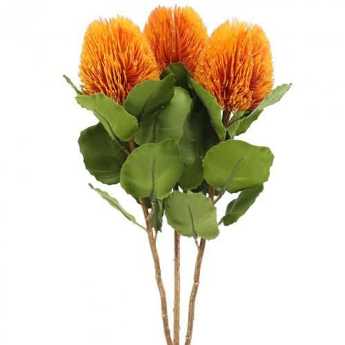 Flores artificiales, Banksia, Proteaceae Naranja L58cm H6cm 3 piezas