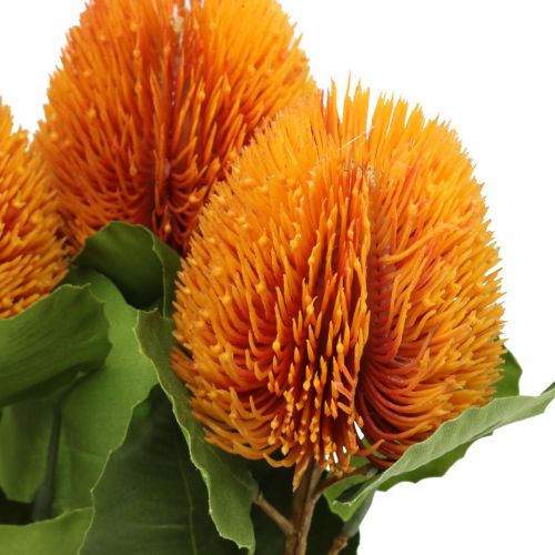 Floristik24 Flores artificiales, Banksia, Proteaceae Naranja L58cm H6cm 3 piezas
