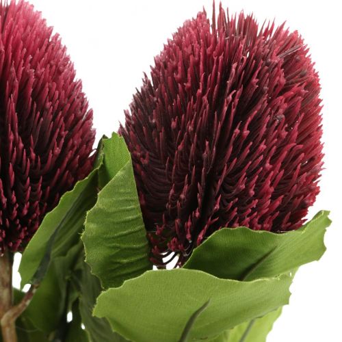 Artículo Flores artificiales, Banksia, Proteaceae rojo vino L58cm H6cm 3pcs