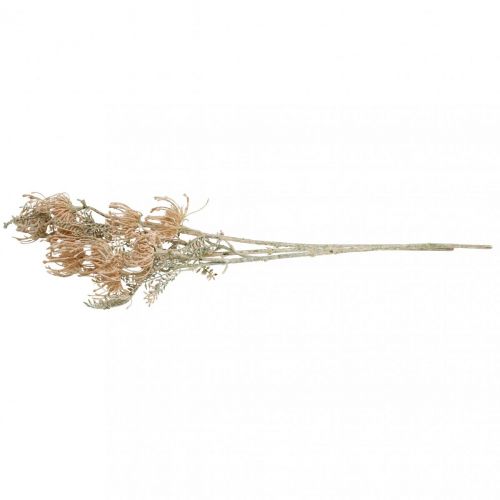 Floristik24 Flores Artificiales, Flor de Acerico, Leucospermum, Proteaceae Blanco Lavado L58cm 3pcs
