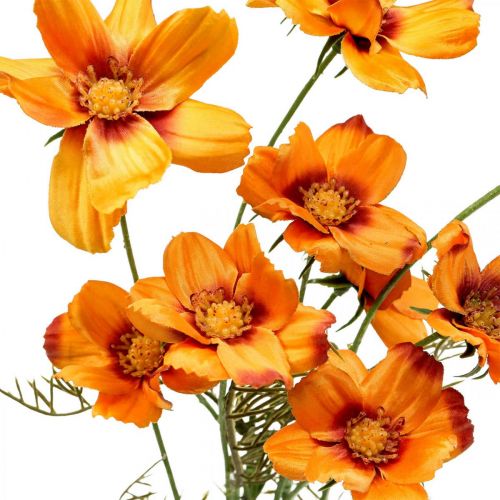 Artículo Flores artificiales Cosmea Cesta para joyas naranja Al. 51 cm 3 piezas