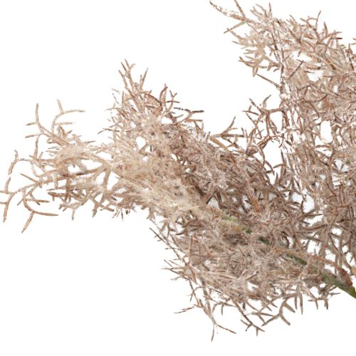 Floristik24 Decoración de flores artificiales, rama de coral, ramas decorativas blanco marrón 40cm 4 piezas