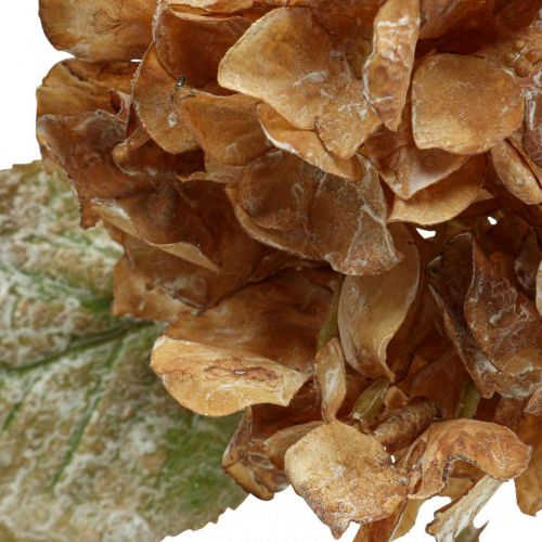 Artículo Hortensia artificial seca Drylook decoración de otoño L33cm