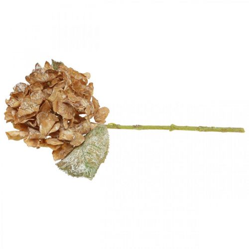 Artículo Hortensia artificial seca Drylook decoración de otoño L33cm
