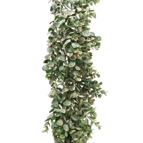 Floristik24 Guirnalda de boj artificial verde blanco lavado L148cm