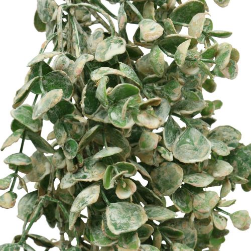 Floristik24 Guirnalda de boj artificial verde blanco lavado L148cm