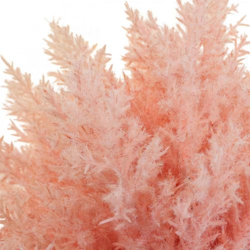 Artículo Planta artificial Astilbe Decoración Ramas Artificial Rosa H38cm 5 Piezas