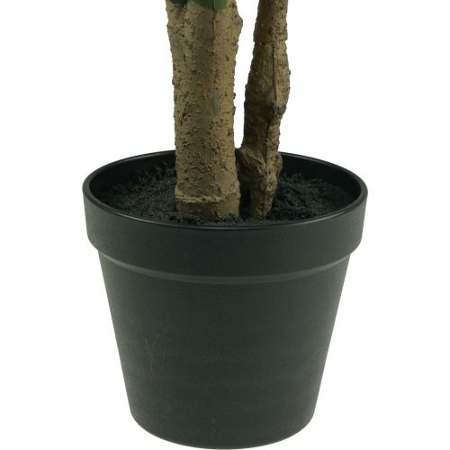 Floristik24 Planta artificial Filodendro Planta artificial en maceta Al. 60 cm