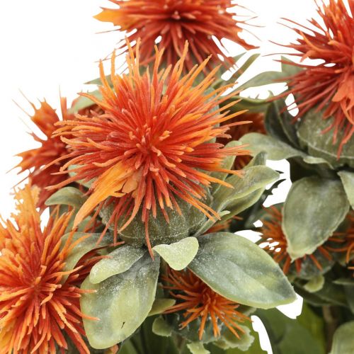 Floristik24 Plantas artificiales cártamo cardo rama cardo naranja 4pcs