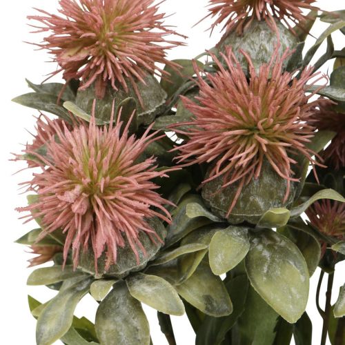Floristik24 Plantas artificiales cártamo cardo rama cardo rosa 4pcs
