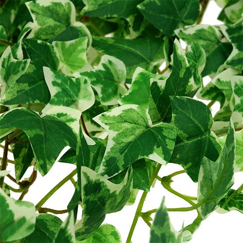 Artículo Plantas artificiales Ivy 100cm