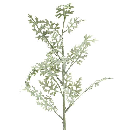 Floristik24 Plantas artificiales Hoja de plata blanco-verde 40cm 6pcs